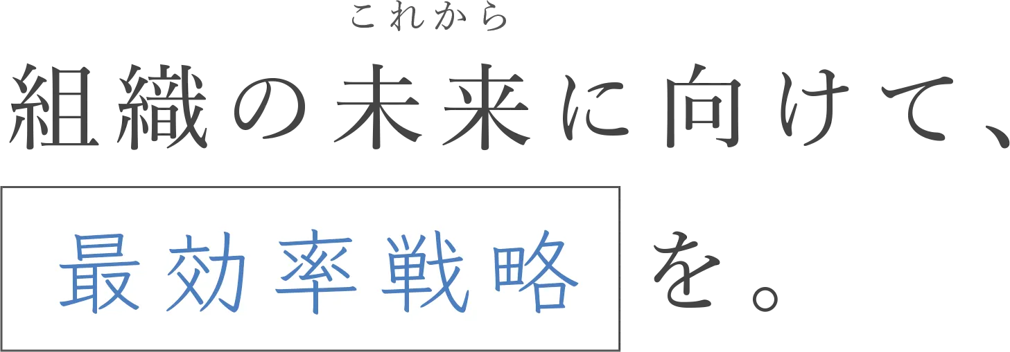 組織の未来に向けて最効率戦略 を。